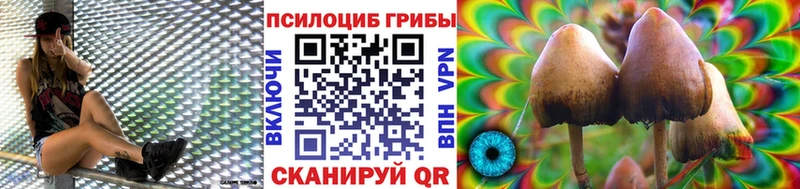 mega вход  даркнет сайт  Андреаполь  Галлюциногенные грибы ЛСД 